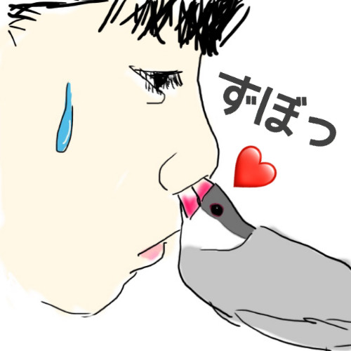 f:id:hamarimi:20190324222225j:plain