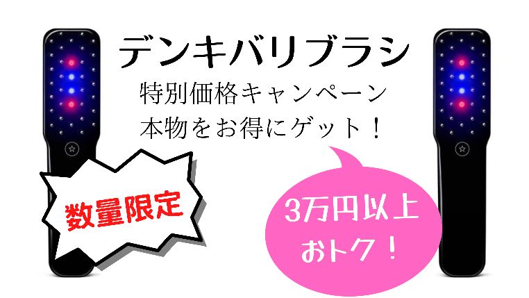 電気バリブラシ 11月購入