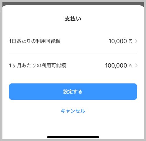 利用可能額の金額設定画面