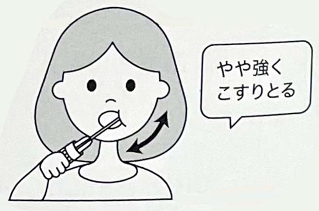 ほおの内側の細胞を取っている場面のイラスト（説明書より）