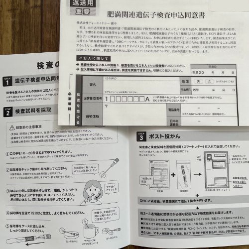 内容物の説明書と肥満関連遺伝子検査申し込み同意書の画像